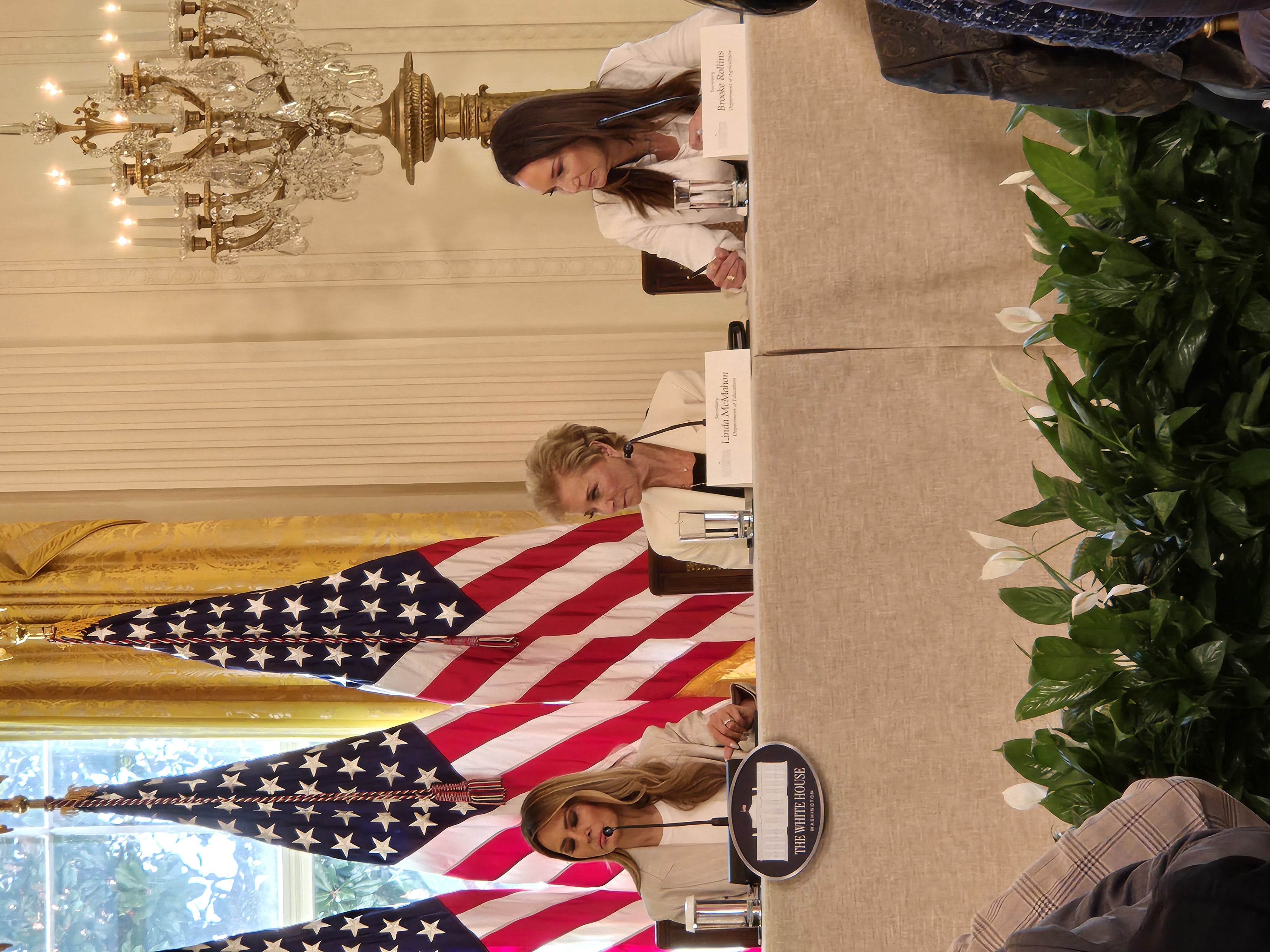 Task Force discussion